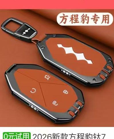 方程豹